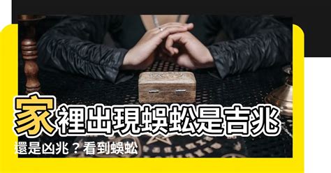 家裡出現蝙蝠代表什麼|蝙蝠造訪家居風水解析